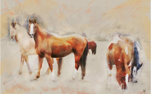 983627 (a): :2880x1800